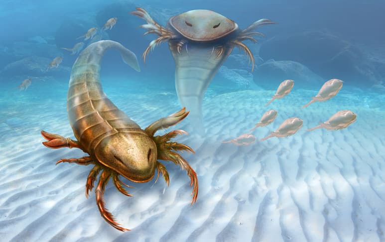 Hace casi 500 millones de años, antes de la existencia de los dinosaurios, los grandes depredadores que dominaban la Tierra eran unos escorpiones que medían 1.70 metros; tenían una docena de extremidades con uñas que les salían de la cabeza y una cola que terminaba en punta. (AP)