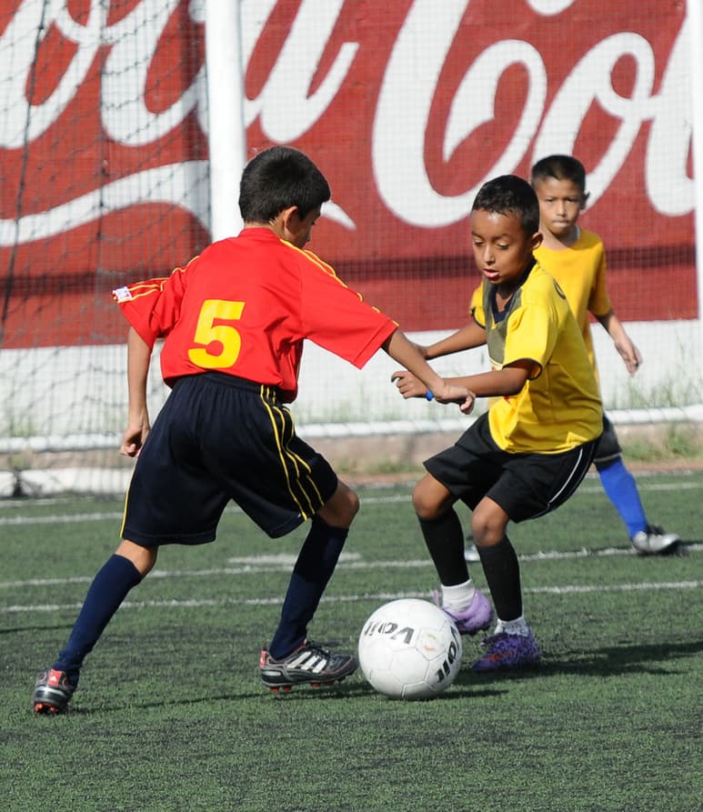 El torneo será compuesto por quince jornadas de la temporada regular, además de los cuartos de final, semifinales y la gran final.