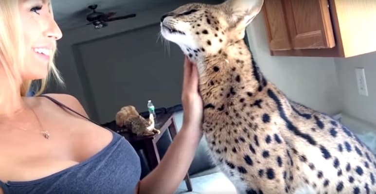 El video ha sido compartido por decenas de portales alrededor del mundo.