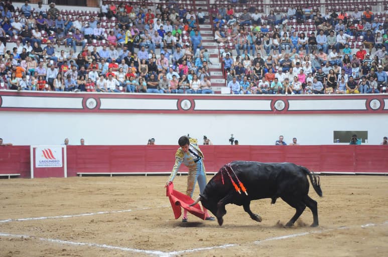 El Coliseo Centenario de Torreón podrá volver a albergar festejos taurinos en los próximos días al proceder el recurso de amparo. (Archivo)