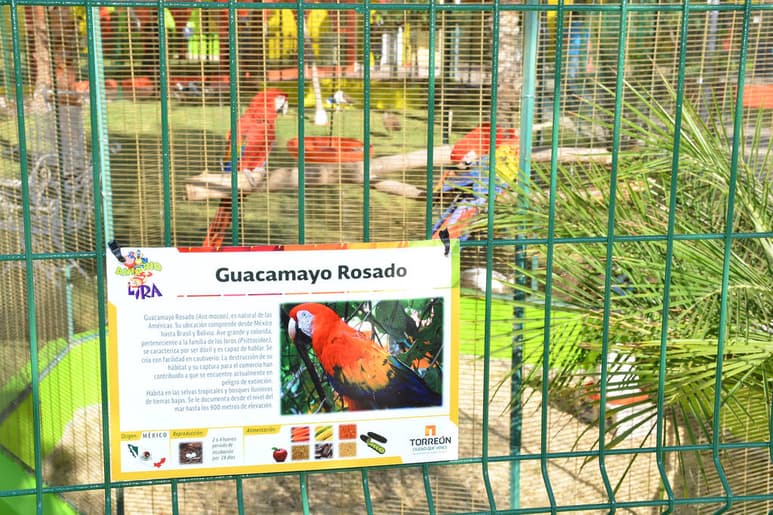 Nuevo espacio. Torreón ya tiene un lugar para conocer y disfrutar de las aves. (Fernando Compeán)