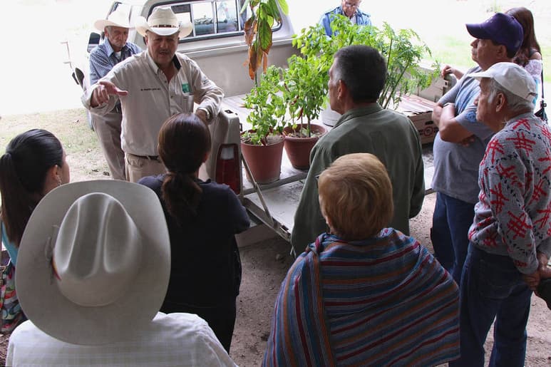 Taller. Son varios los beneficios de tener un huerto familiar, entre ellos no consumir químicos.