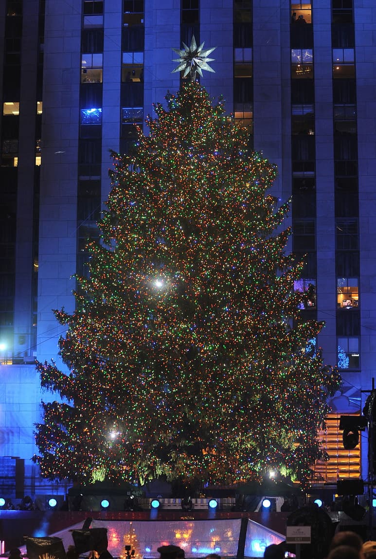 El árbol fue instalado en el Rockefeller Center, lugar visitado por miles de turistas al día. (AP)