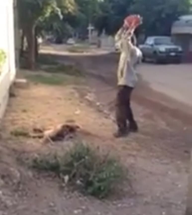 Las imágenes muestran cómo el hombre golpea la cabeza del perro con una roca. (YOUTUBE)