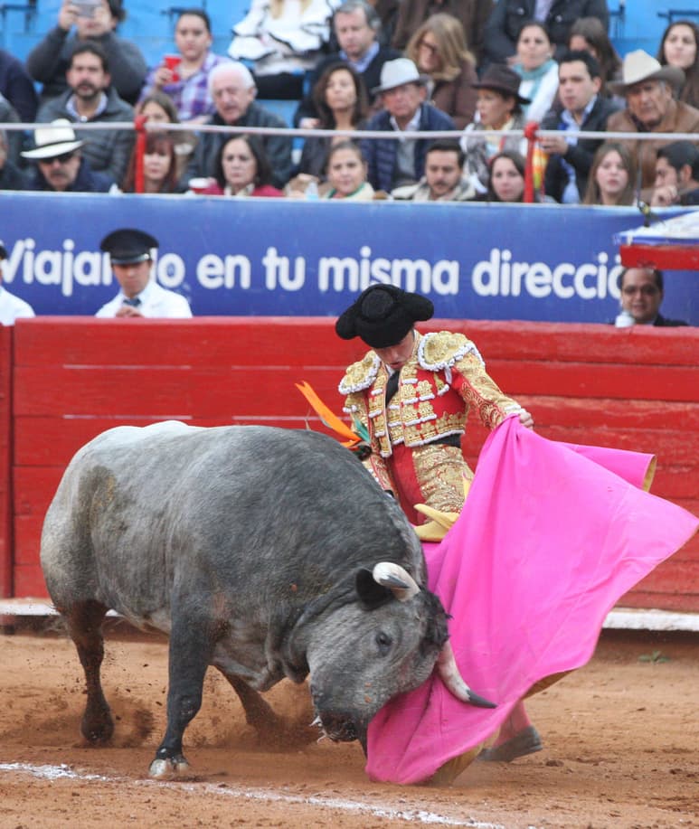 El torero mexicano Juan Pablo Llaguno fue quien más destacó en la corrida de Dinastías en la Plaza México. (EFE)