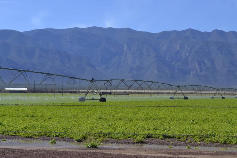 Optimización. El agua que se busca que cedan los productores será excedente al comenzar a usar el sistema tecnificado de riego. (ARCHIVO)