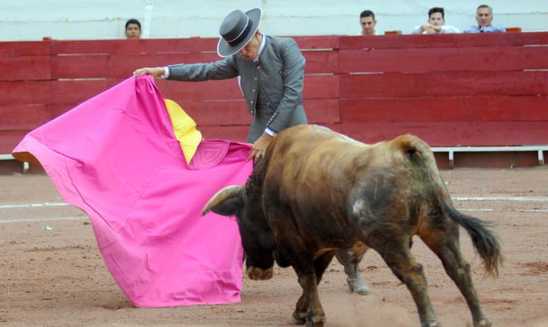 Actuarán los aficionados prácticos David González Zambrano, Juan Antonio Hernández 'El Torero', Pedro Pizón y Jesús Hernández. Preparan Festival Taurino a beneficio en Ciudad Lerdo