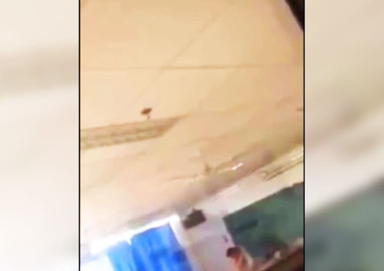 El acto fue registrado por otros alumnos que rondaban por la zona. (ESPECIAL)