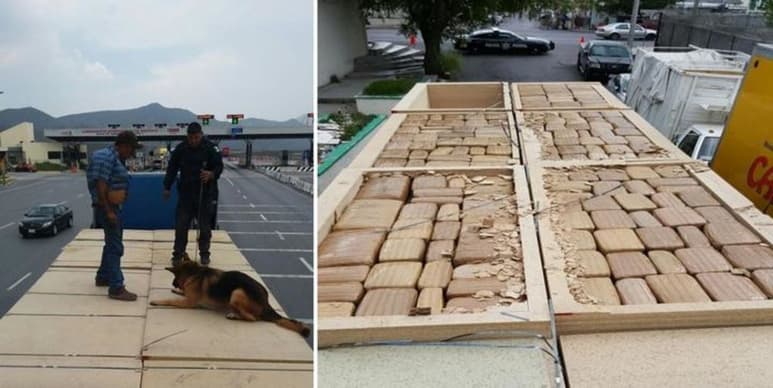 En presencia de la autoridad ministerial, los efectivos federales realizaron maniobras de descarga y en medio de la carga consistente en tablones de madera aglomerada, los agentes encontraron 180 paquetes con hierba seca. (ESPECIAL)
