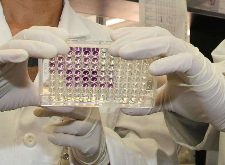 Beneficiaría a las personas con sobrepeso, hipertensión, presión arterial y diabetes. (ARCHIVO)