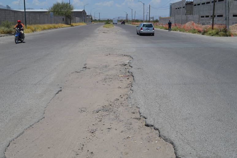 Sin atención. Las calles el Parque Industrial Oriente no han recibido mantenimiento en meses. (ROBERTO ITURRIAGA)