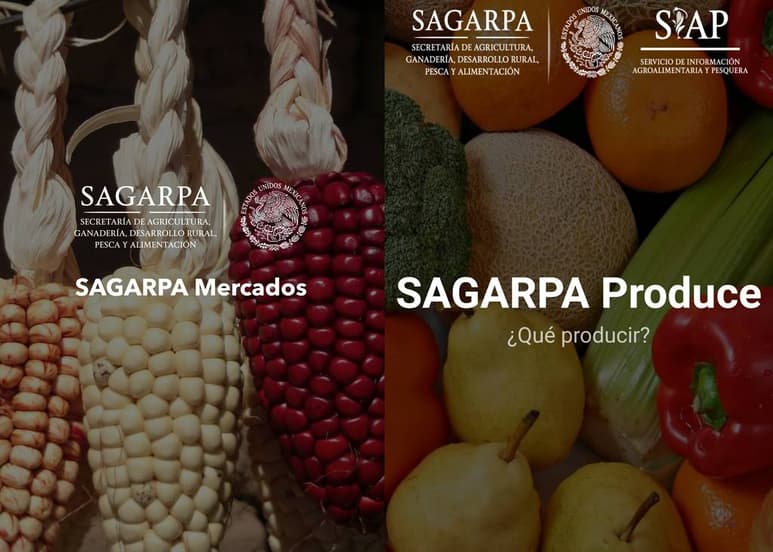 Producción. Con esta aplicación, la Sagarpa busca agilizar las decisiones de los productores agrícolas.