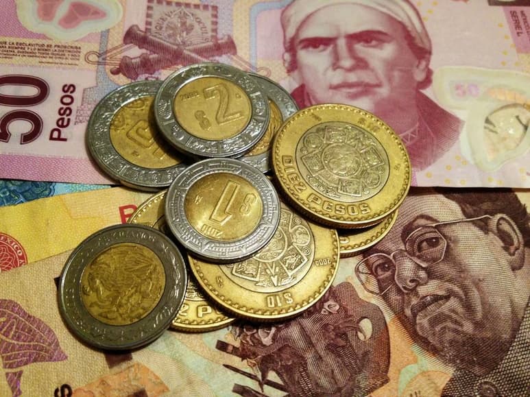Dinero. Los estados y municipios están obligados a transparentar más los recursos de sus participaciones.