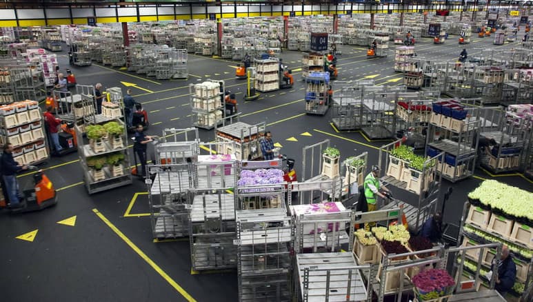 Tendencia. En junio fueron mejores las exportaciones a Estados Unidos.