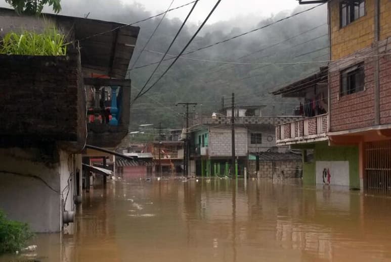 De las 116 viviendas con inundaciones e introducción de lodo, 13 se ubican en el municipio de Zihuatanejo, 19 en Atoyac de Álvarez; 32 en Tecpan de Galeana, una en San Jerónimo; 45 en Coyuca de Benítez, y seis en Atlixtac en la Montaña.