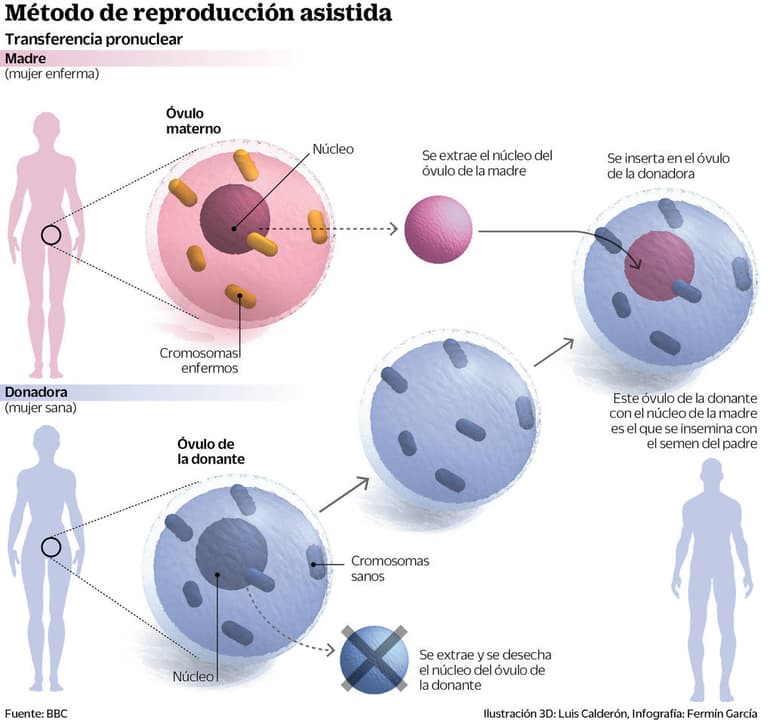 Nace primer bebé de 3 padres