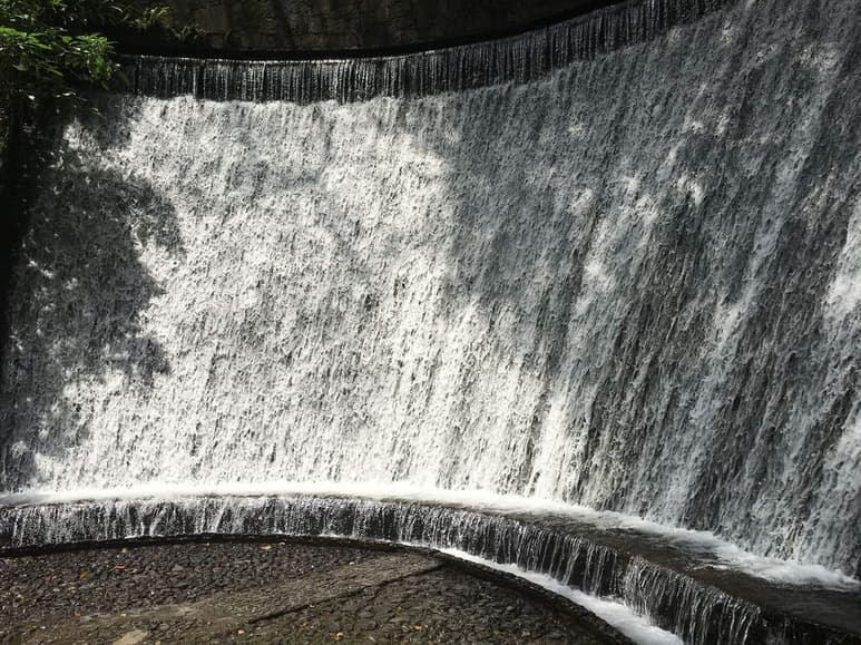 Atractivo. El Parque de Uruapan es incomparable.