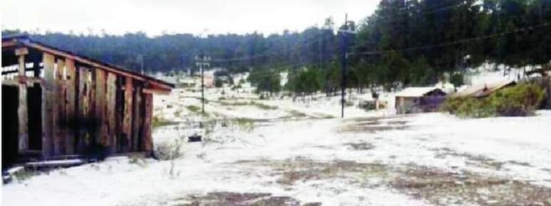 La Unidad Estatal de Protección Civil de Durango confirmó la caída de nieve e informó que se espera frío intenso para las próximas horas en la entidad.