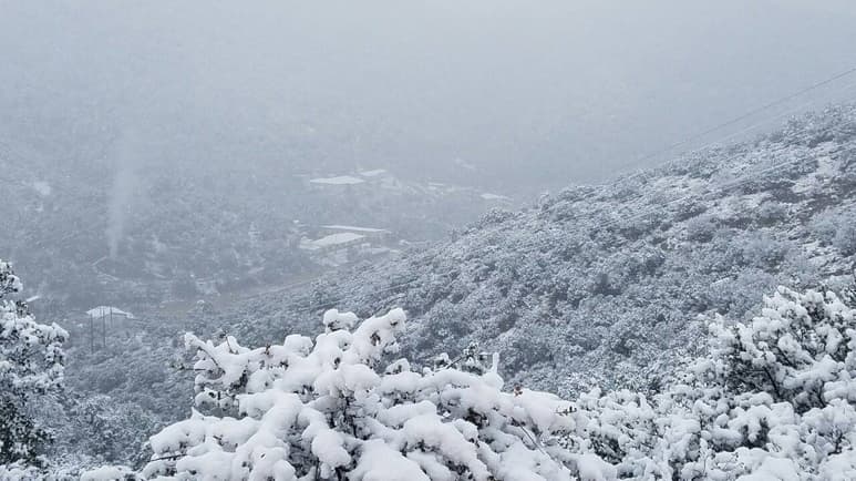 Condiciones. La nieve estuvo presente en prácticamente toda la zona Sierra del estado de Durango.