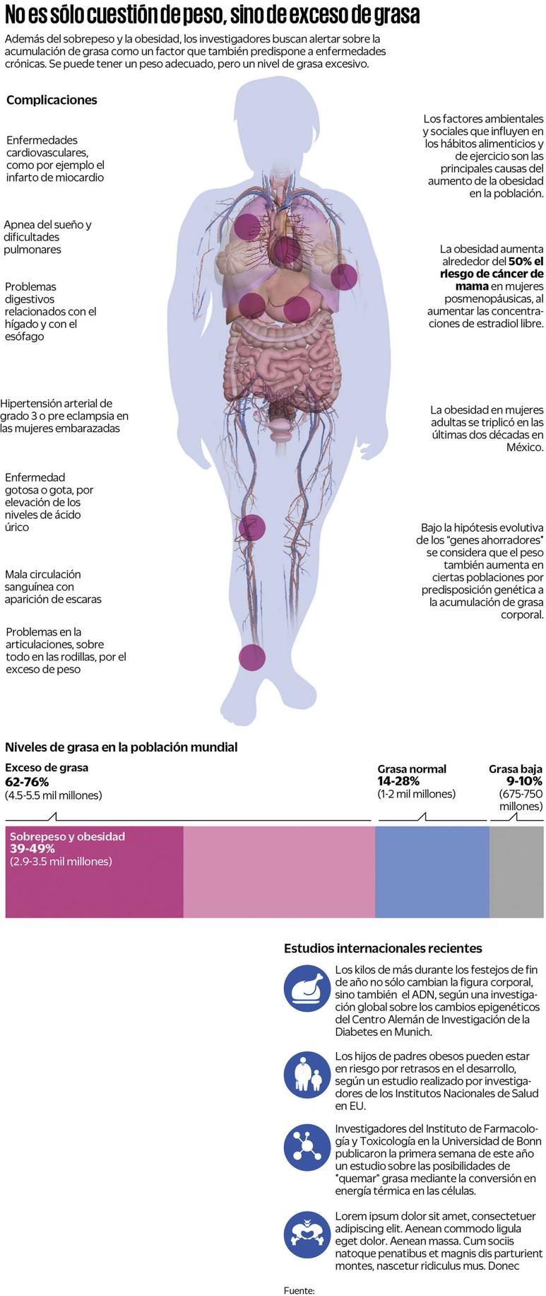 Obesidad: el peso completo de los excesos