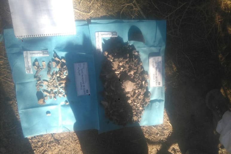 Hallazgos. Son miles de fragmentos óseos los que se han encontrado en los diferentes campos recorridos en la región Lagunera. (ARCHIVO)