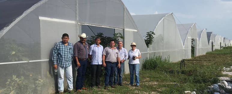 Produce. Laguna Figs tiene 20 socios con establecimientos en Lerdo, Gómez, Mapimí y Tlahualilo. (EL SIGLO DE TORREÓN)