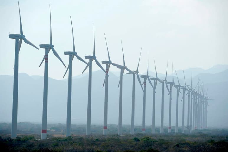 Angélica Ruiz, directora general de México & Latan de Vestas, dijo que desde hace tres años uno de sus clientes tiene parado el proyecto Eólica del Sur, en Oaxaca. (ARCHIVO)
