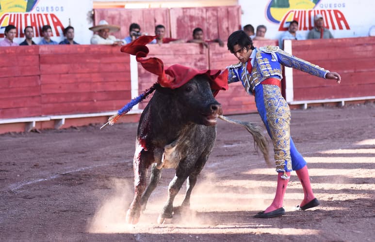 El heredero del gran Antonio Lomelín ha sido profeta en su tierra, acumulando trofeos durante sus faenas en la Comarca Lagunera. Arturo Gilio es el nuevo apoderado de Antonio Lomelín