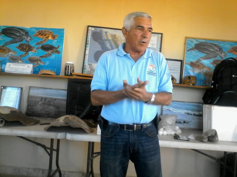 Liberación. Los visitantes podrán conocer de cerca el proceso de conservación de la tortuga golfina y liberarlas al atardecer.