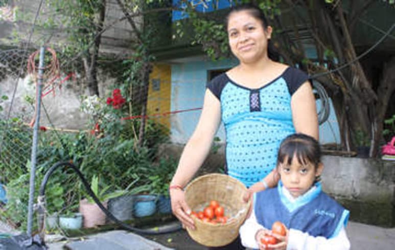 Los huertos de traspatio son sitios agrícolas afines con el entorno, que combinan funciones productivas asociadas al consumo familiar con finalidades sociales, económicas y ambientales. (ESPECIAL)