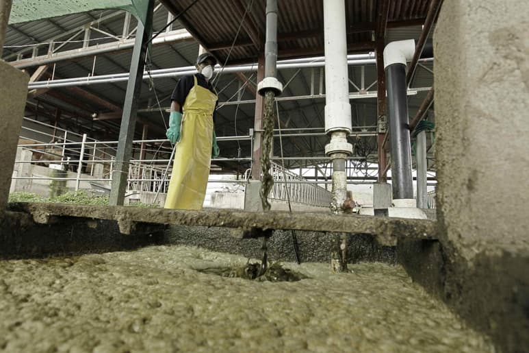 Los biodigestores son una efectiva alternativa de creación de energía y combustible, especialmente para zonas de bajos recursos. (ARCHIVO)