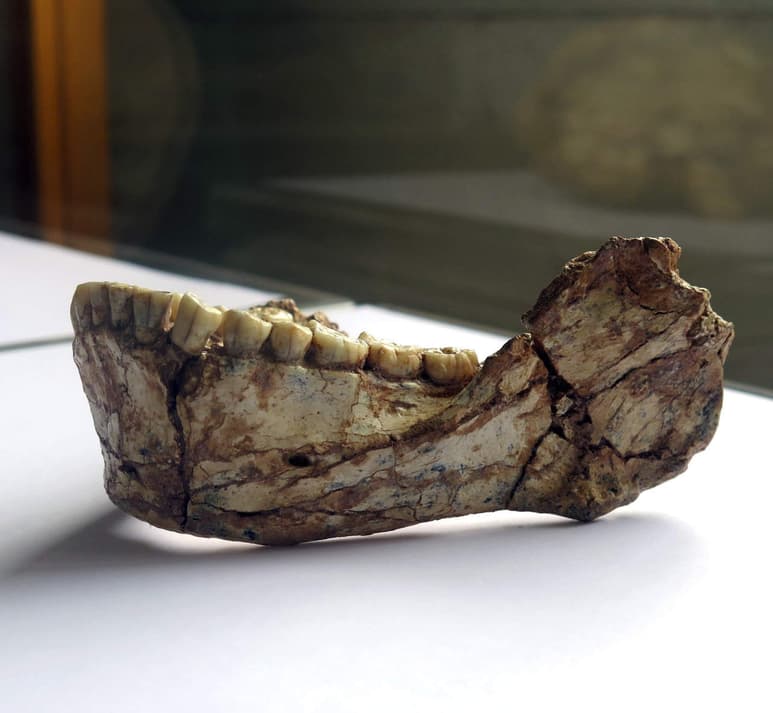 Hecha su datación con dos métodos distintos, quedó claro que la edad de los restos era de 315,000 años, lo que adelanta en casi 100,000 la aparición del 'Homo sapiens' en la tierra. (EFE)