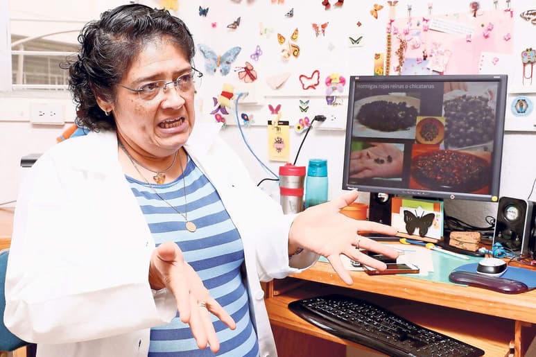 Nutritivos. La investigadora de la UNAM, Gabriela Jiménez Casas, encontró en los insectos la solución para obtener los nutrientes necesarios y controlar la diabetes.