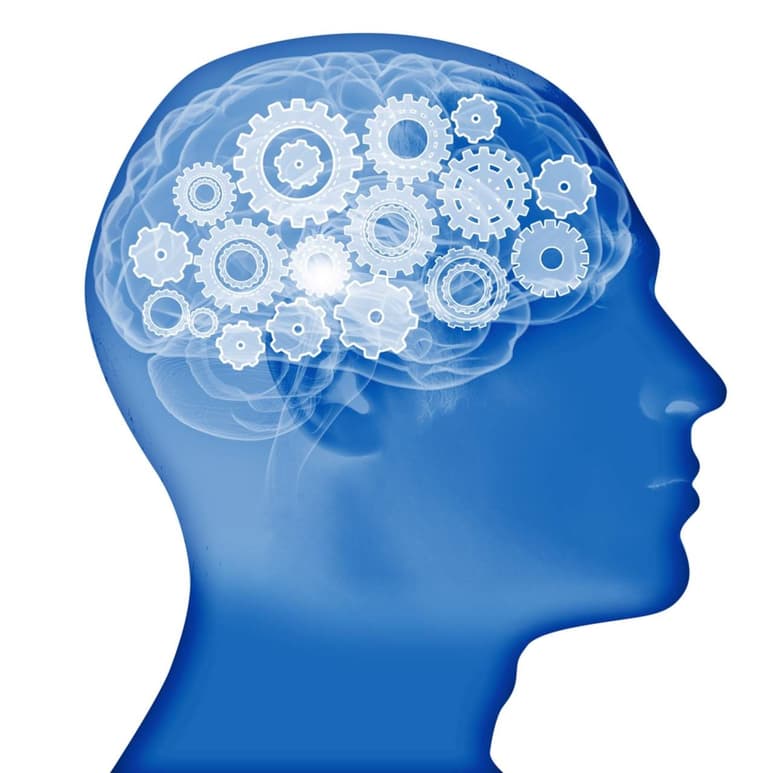 Todo ello es posible gracias a los gigantescos pasos dados por la investigación neurocientífica y la inteligencia artificial, estudios que se han focalizado en prácticas al límite de lo fantástico y científico. (ARCHIVO)