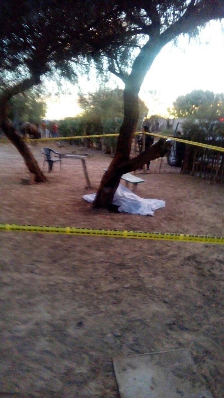 Ahorcado. Al amanecer del lunes, encontraron colgado de un árbol a Miguel Ángel, ya muerto.