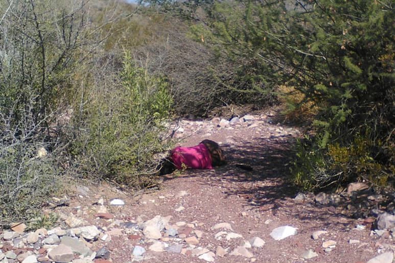 Seguridad. Organismos de mujeres han solicitado la alerta por violencia de género debido a los homicidios registrados en Torreón. (ARCHIVO)