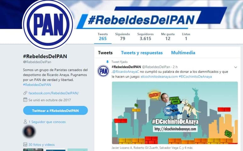 Desde hace cuatro días opera dicho perfil en donde se puede leer que son un grupo de panistas 'cansados del despotismo' de su presidente nacional, Ricardo Anaya; 'pugnamos por un PAN de verdad y libertad'. (ESPECIAL)