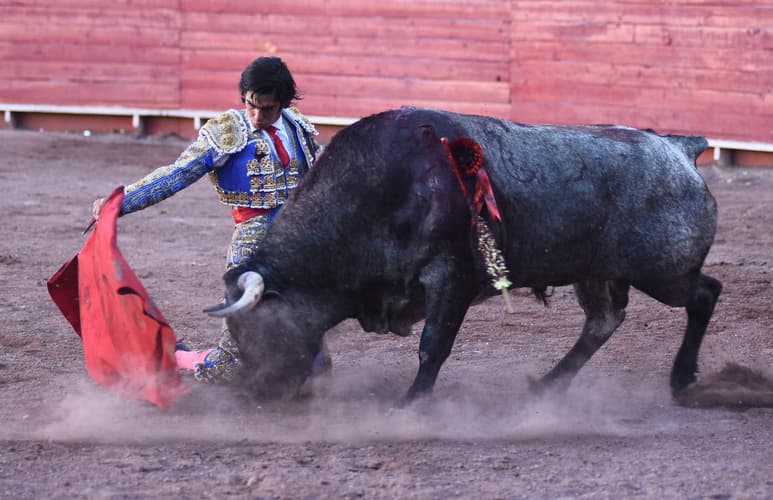 Lidiando un quinto toro, se presentará el juvenil lagunero Arturo Gilio, novillero que se entrena en España y regresa a su país para la temporada invernal. (ARCHIVO)