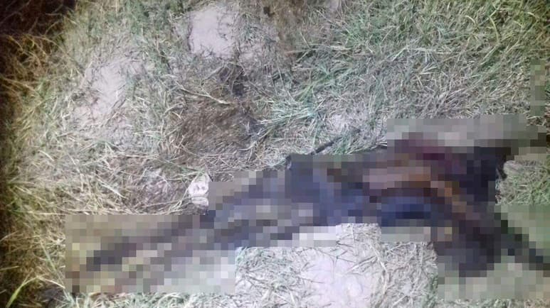 El cadáver se encontraba en estado de descomposición. (EL SIGLO DE TORREÓN)