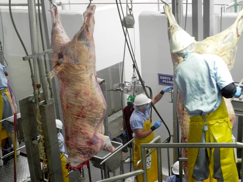 Mercado. Carne lagunera recibe certificación para poder ser exportada a países musulmanes lo que abre la posibilidades comerciales. (ARCHIVO)