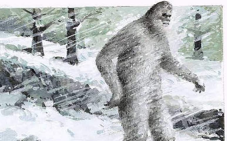 No existe ni una sola pista que apunte a la existencia de una especie animal que pueda llevar el nombre de Yeti, según indica el estudio científico. (ESPECIAL)