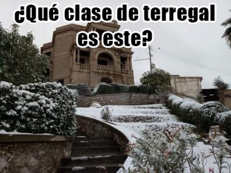 Cae nieve en La Laguna y los memes también