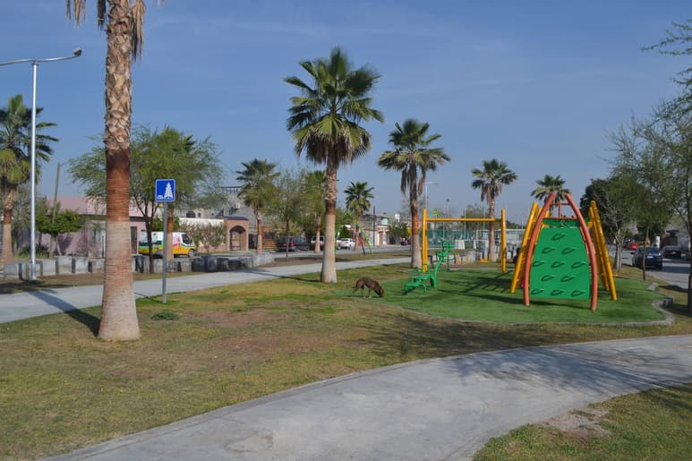 Urgencia. En la temporada vacacional es cuando niños y jóvenes utilizan con más frecuencia la Línea Verde. (ANGÉLICA SANDOVAL)