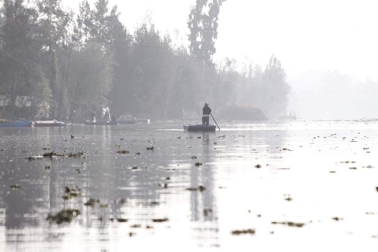 Las chinampas son islotes artificiales que flotan sobre cuerpos de agua y se usan para el cultivo para la extensión territorial. La técnica consiste en extender sobre el suelo de la chinampa una capa del lodo, conocido como limo, que se extrae del fondo del canal. (EFE)