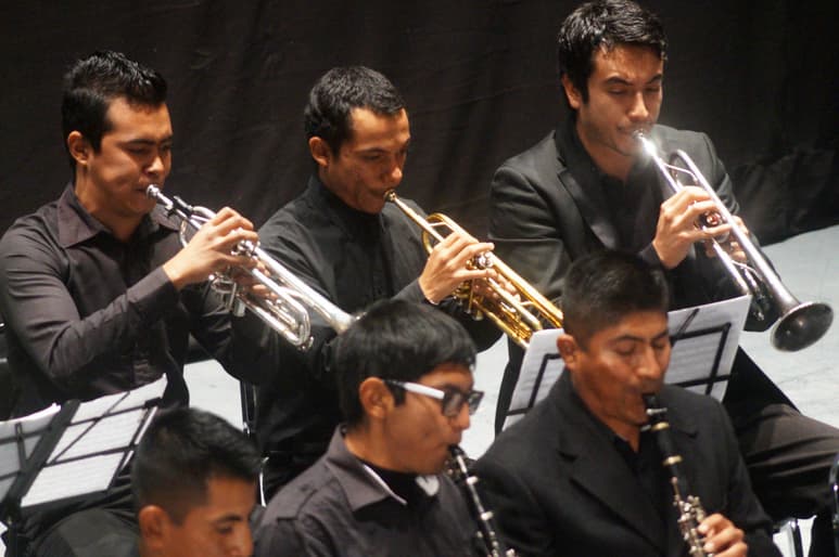 Abierto. El curso es dirigido a aspirantes a la carrera Técnico Instrumentista de Orquesta.