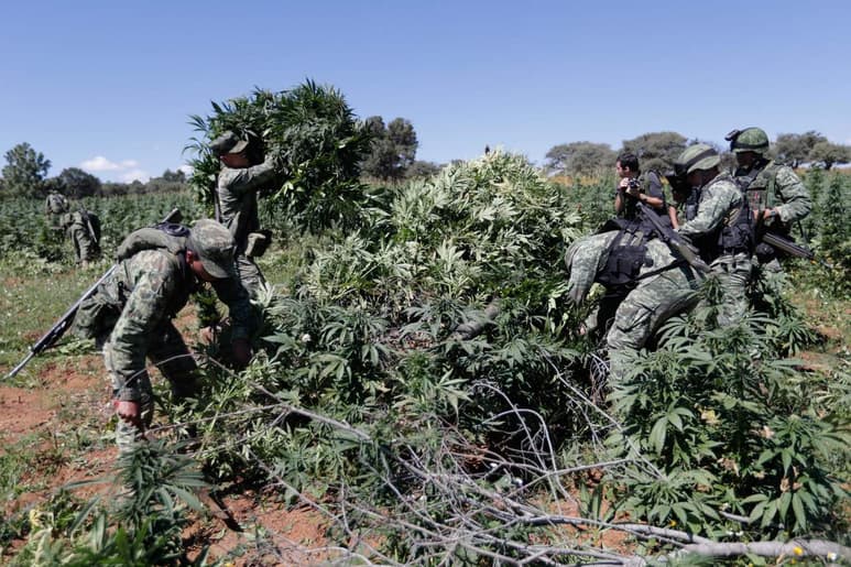 El secretario de Turismo de México, Enrique de la Madrid, abogó hoy por legalizar el uso de marihuana en las zonas turísticas del país, porque esto puede contribuir a que se conviertan en destinos 'más seguros'. (ARCHIVO)