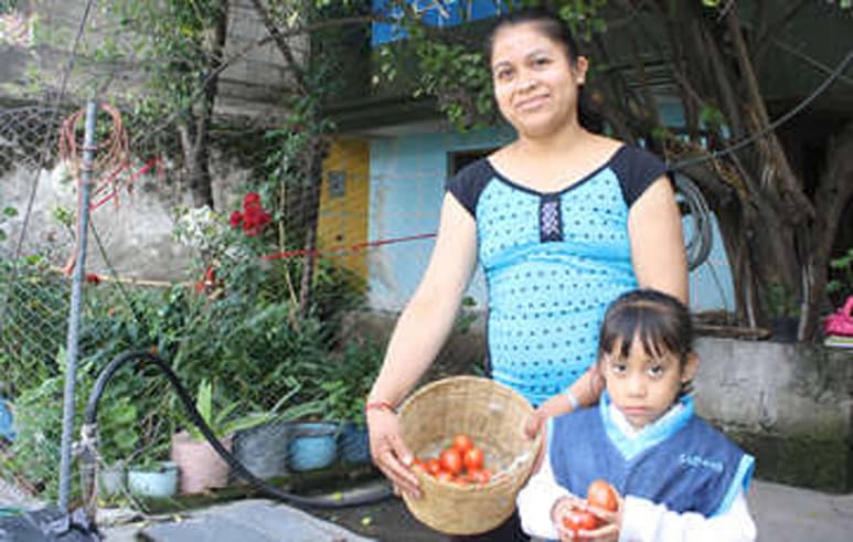 Huertos. Se trata de huertos de traspatio que pueden ser utilizados con fines de consumo de productos orgánicos o medicinales. (EL SIGLO DE TORREÓN)