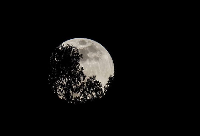 Según los expertos, el eclipse total de superluna azul no tendrá ninguna implicación para el planeta. (ARCHIVO)