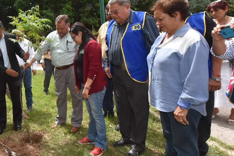 Solicitud. Personas interesadas en obtener, plantar y cuidar de un arbolito deberán realizar su solicitud ante Medio Ambiente. (EL SIGLO DE TORREÓN)