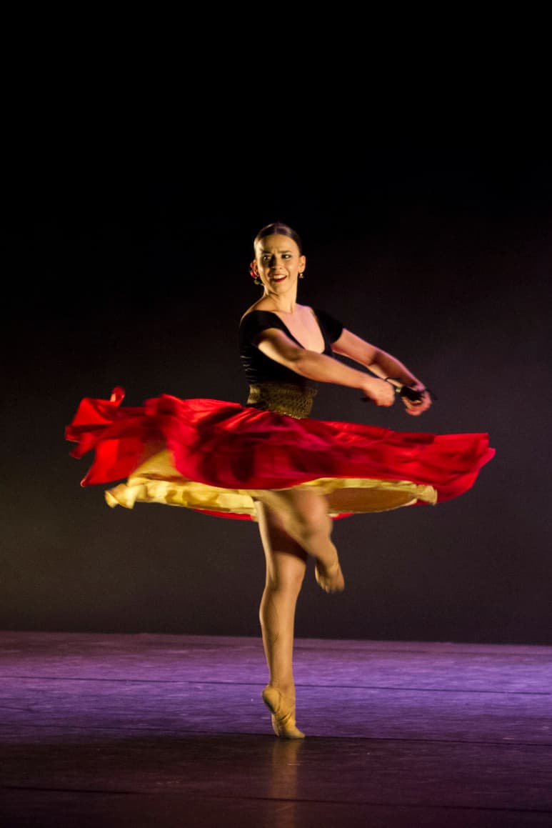 Diversa. Arquitectura, Artes Aplicadas, Artes Visuales, Danza, Letras, Letras en Lenguas Indígenas, entre otras. (CORTESÍA)